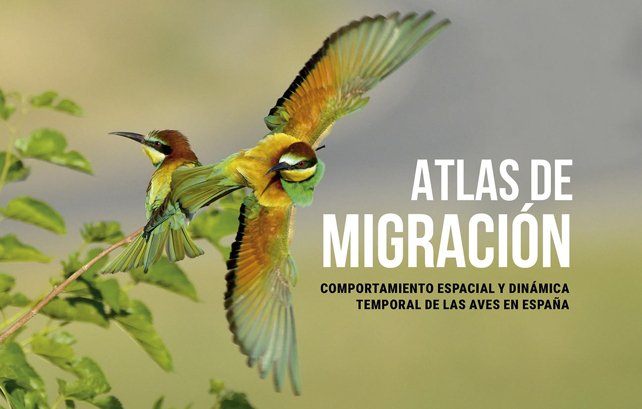 Atlas de migración