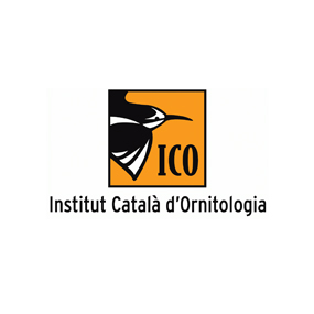 ICO